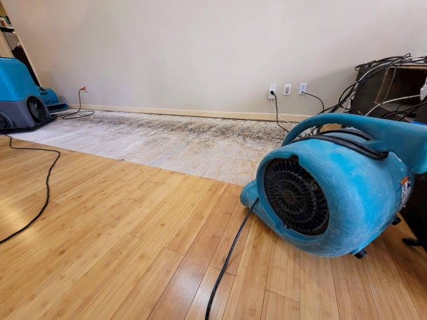 Professional Water Damage Repair technician working in Ross, OH